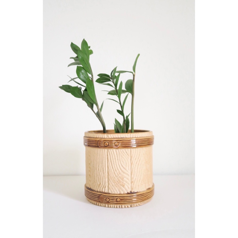Vintage Textured Ceramic Tree Trunk Planter 🪵
